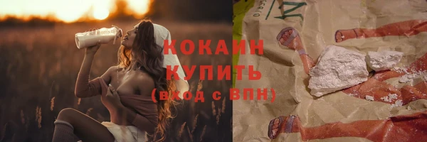 дмт Белокуриха