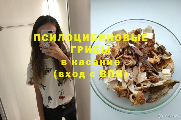 шишки Балахна