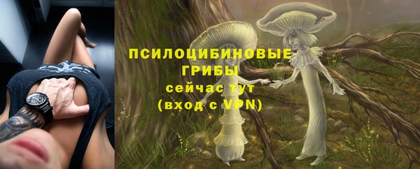 шишки Балахна