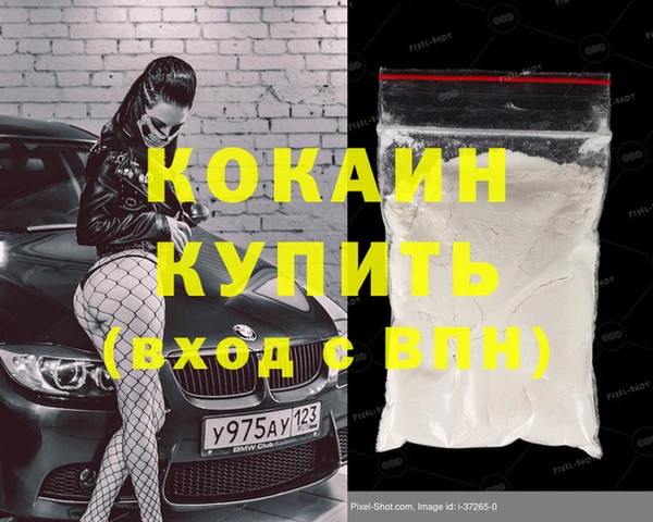 шишки Балахна