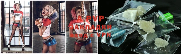 ГАЛЛЮЦИНОГЕННЫЕ ГРИБЫ Беломорск