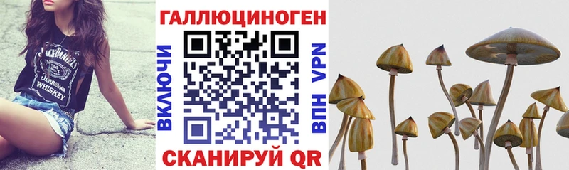 Галлюциногенные грибы мицелий  Верхнеуральск 
